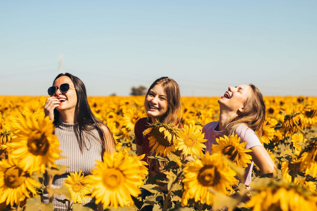 Three girls smiling in a field of sunflowers on a sunny day with a blue sky.