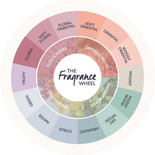 Fragrance Wheel chart