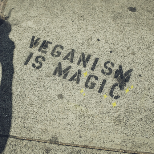 Vegan Beauty