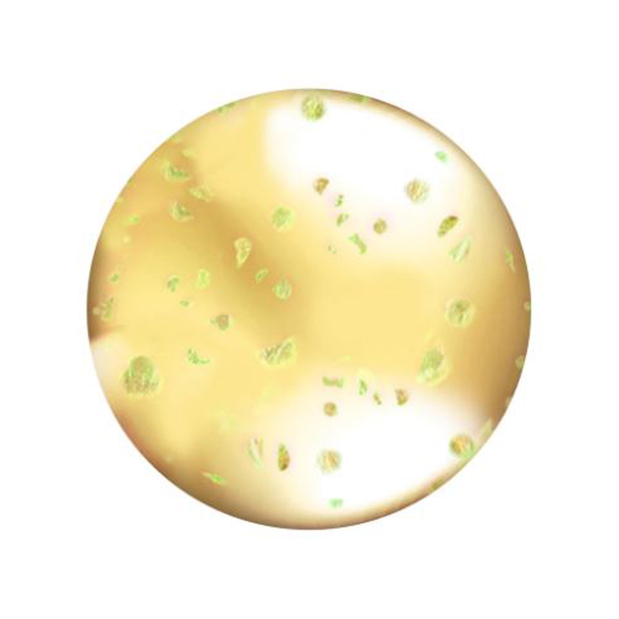 LA Colors Nourishing Lip Oil - Hunnybun