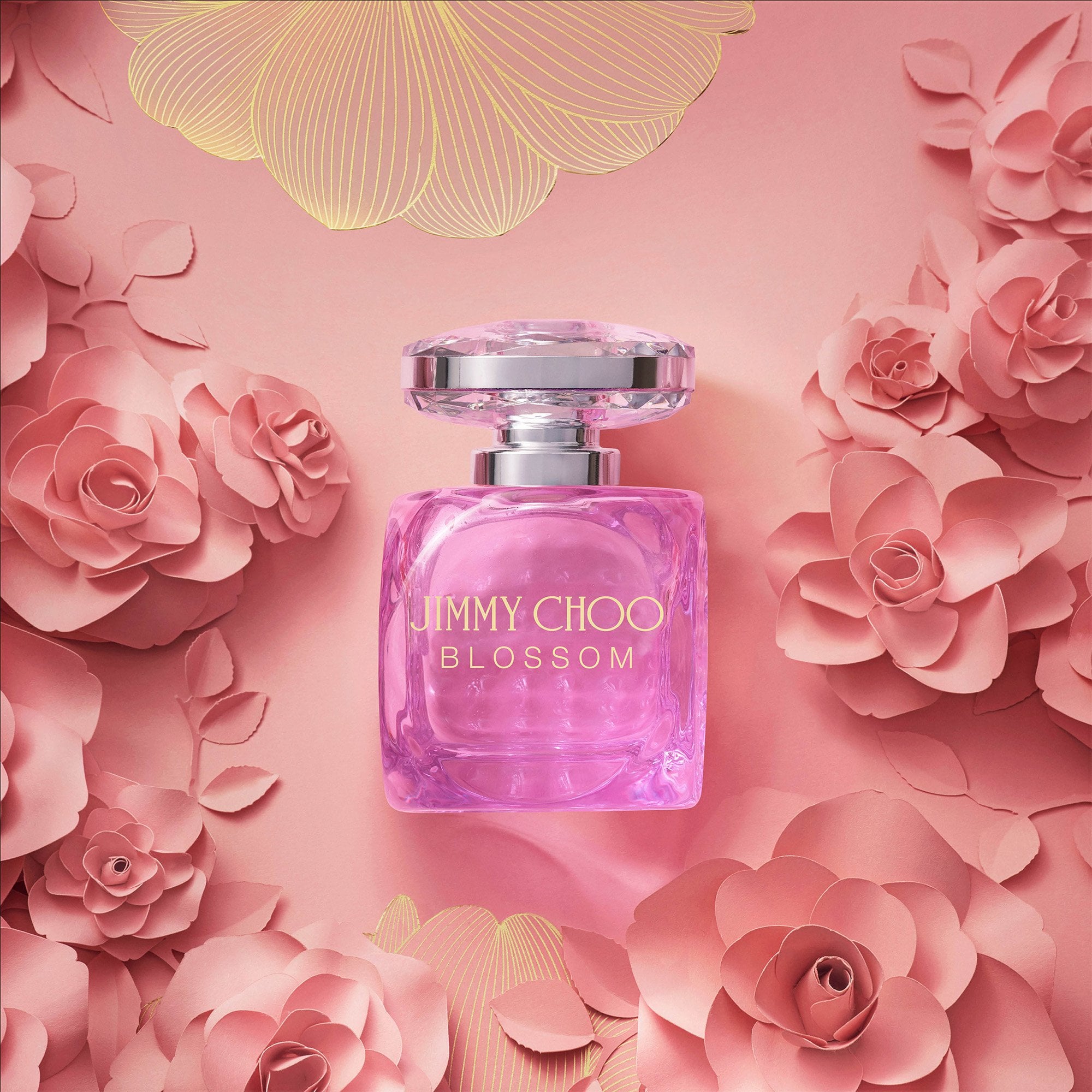 Jimmy Choo Blossom Special Edition Eau De Parfum 40ml Spray