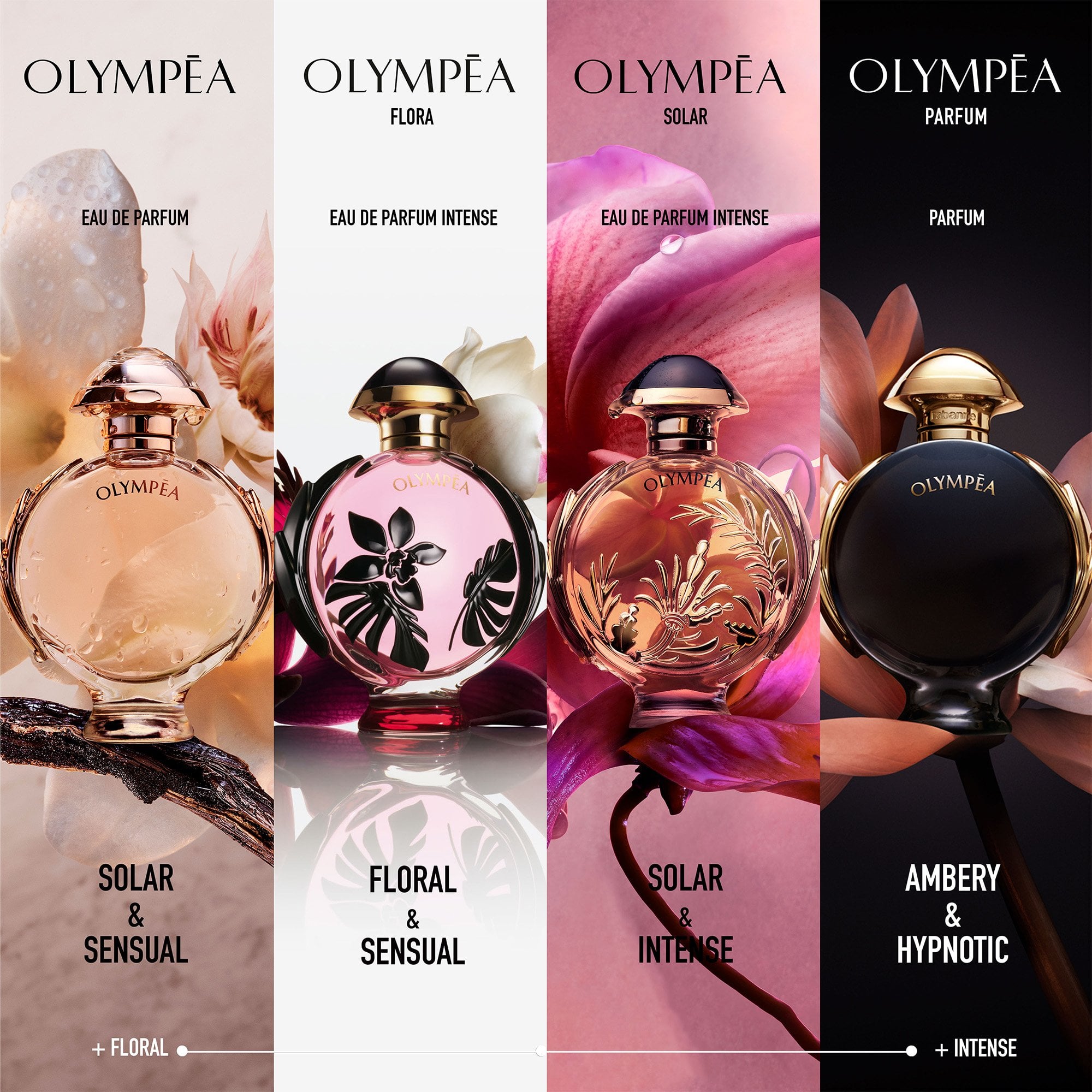 Rabanne Olympéa Parfum 50ml Spray