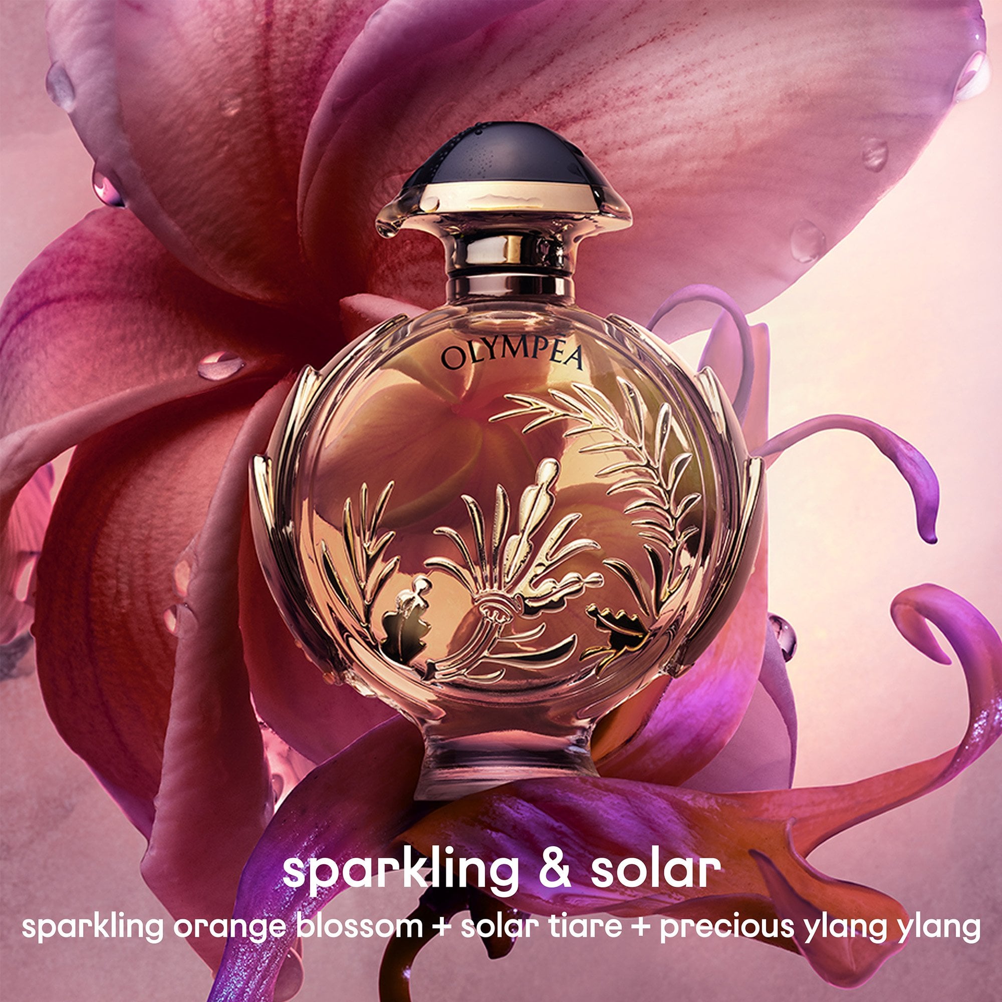 Rabanne Olympéa Solar Eau De Parfum Intense 50ml Spray