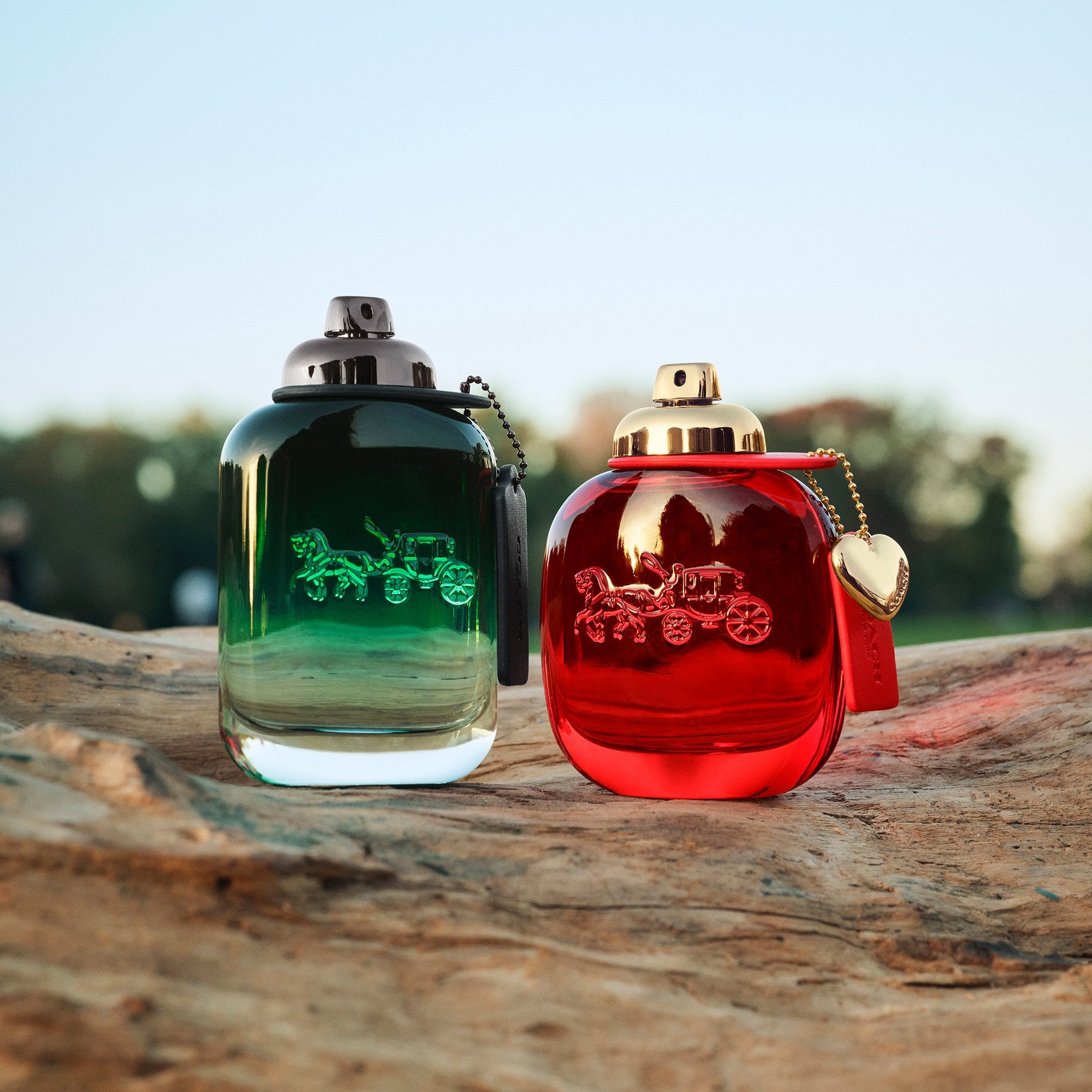 Coach Love Eau De Parfum 50ml Spray