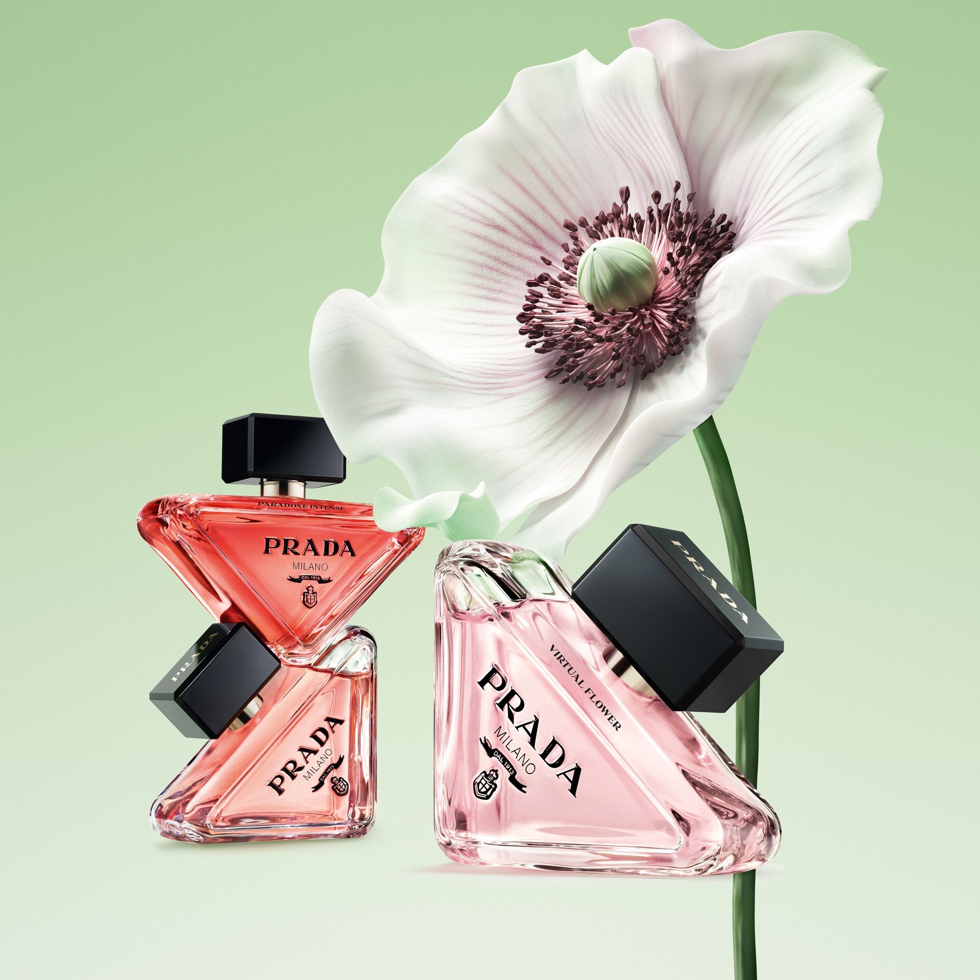 Prada Paradoxe Virtual Flower Eau De Parfum 30ml Spray – Beauty Base