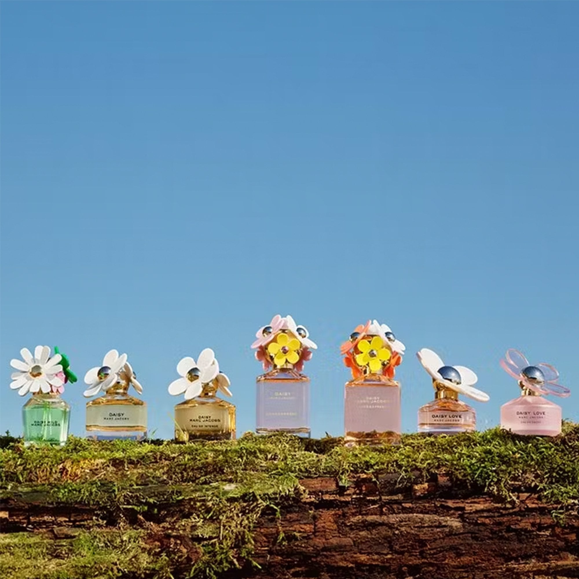 Marc Jacobs Daisy Wild Eau De Parfum 50ml Spray