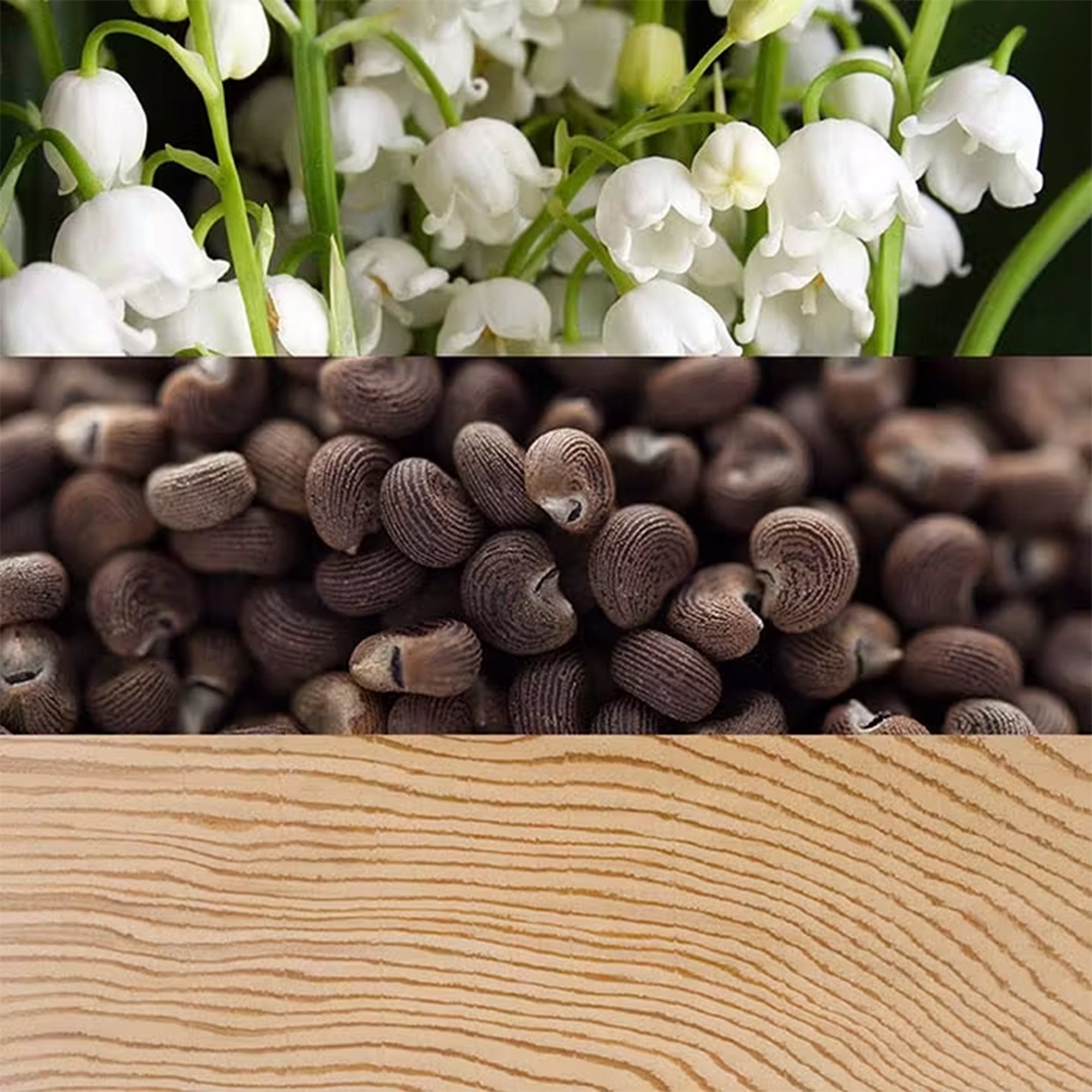 Calvin Klein Beauty Eau De Parfum 100ml Spray