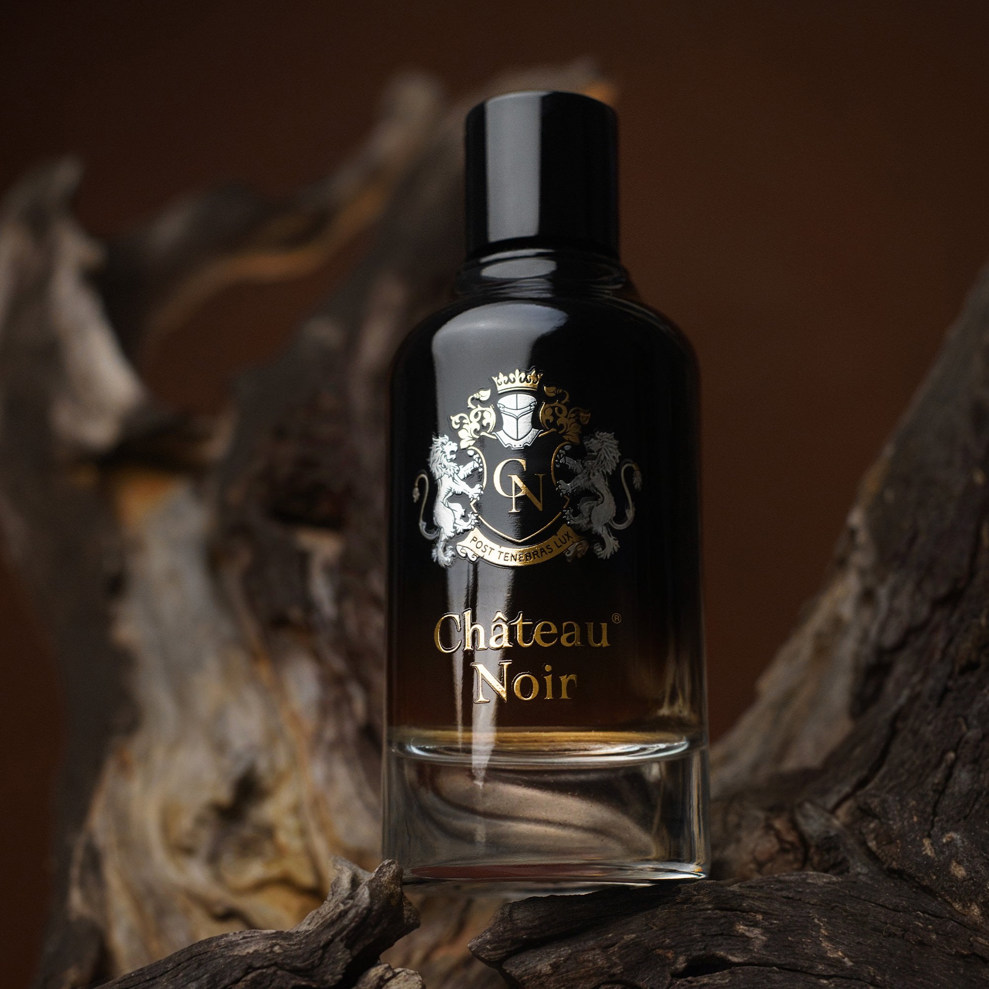 Paris Bleu Chateau Noir Eau De Parfum 100ml Spray