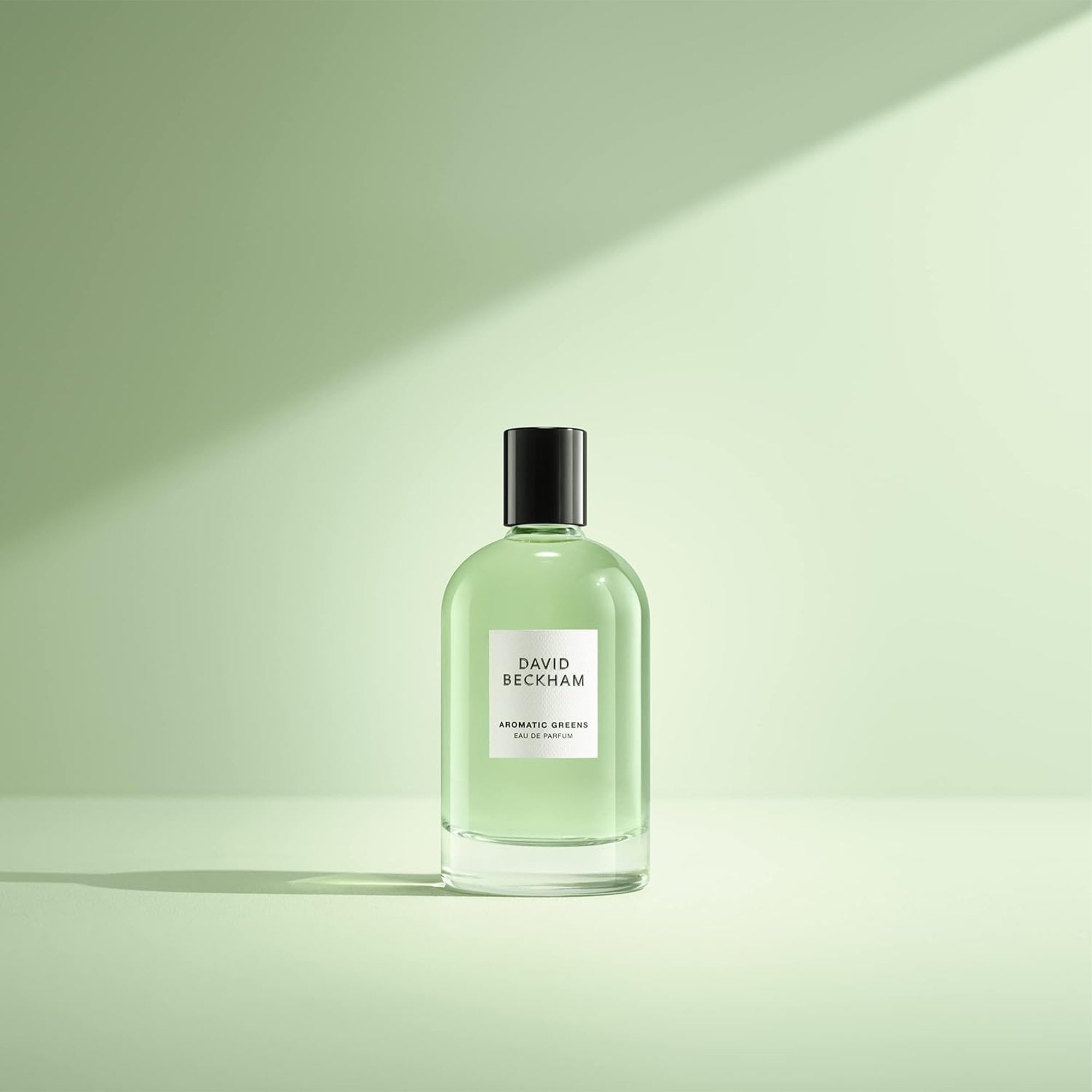 David Beckham Aromatic Greens Eau De Parfum 100ml Spray