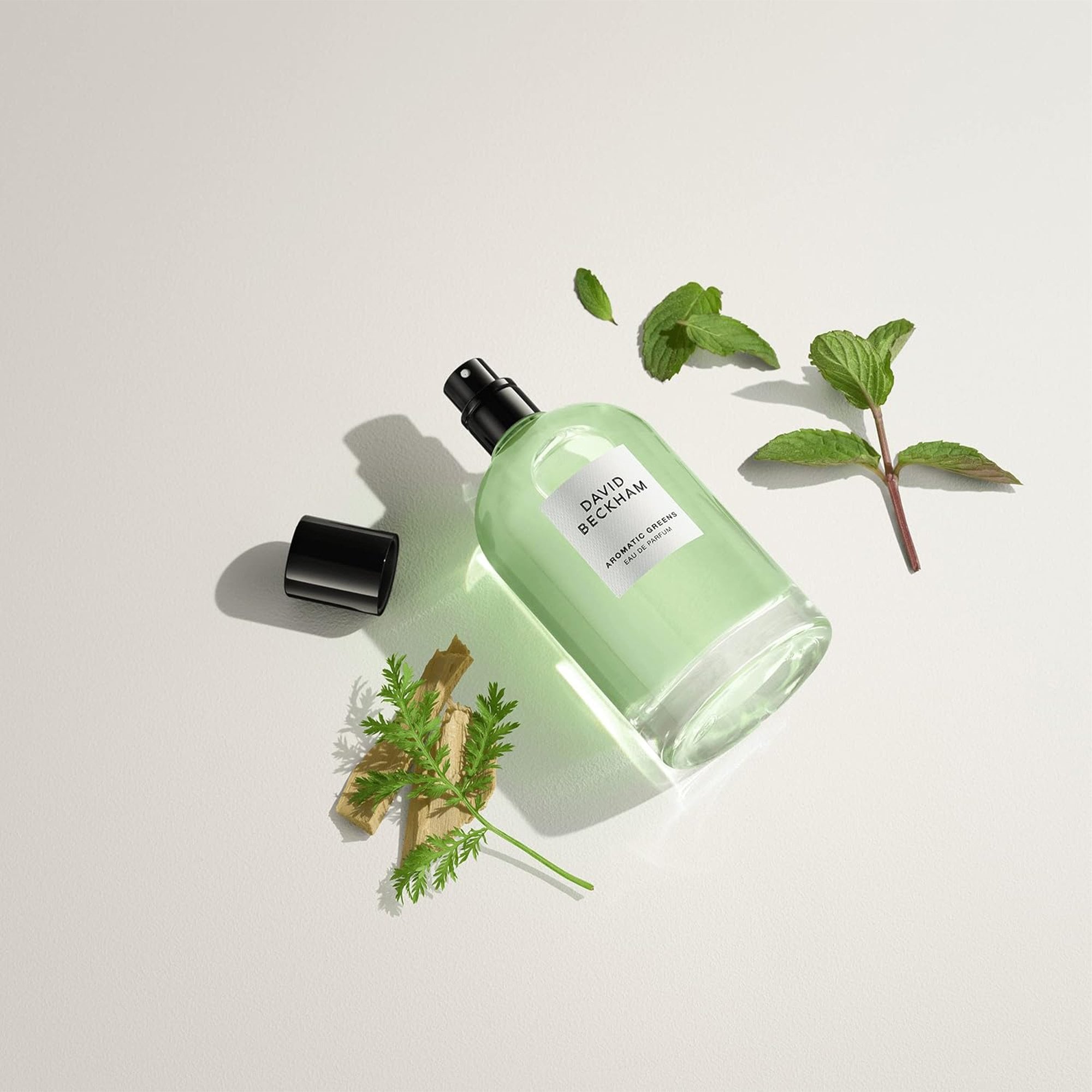 David Beckham Aromatic Greens Eau De Parfum 100ml Spray