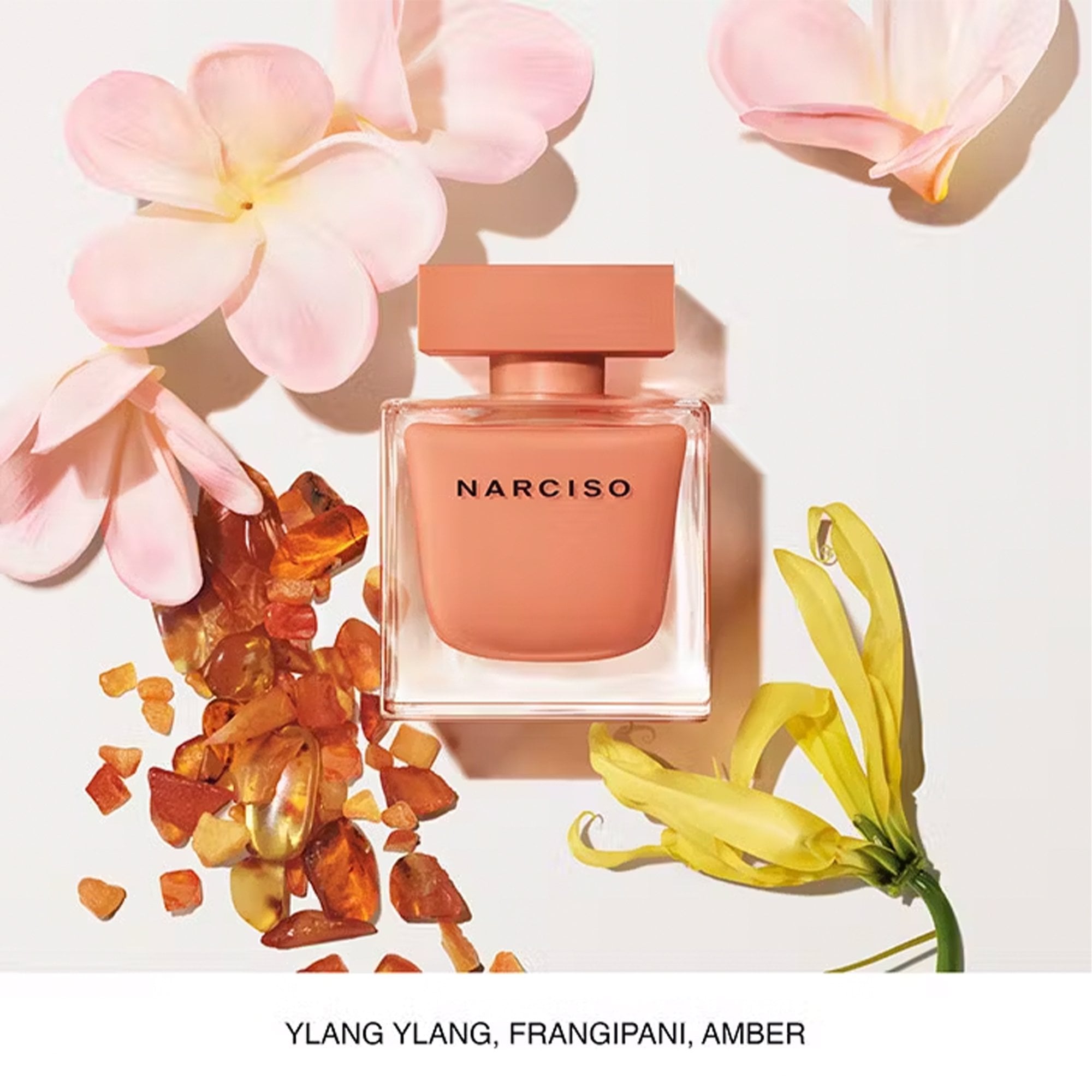 Narciso Ambree Eau De Parfum 30ml Sprayl Spray