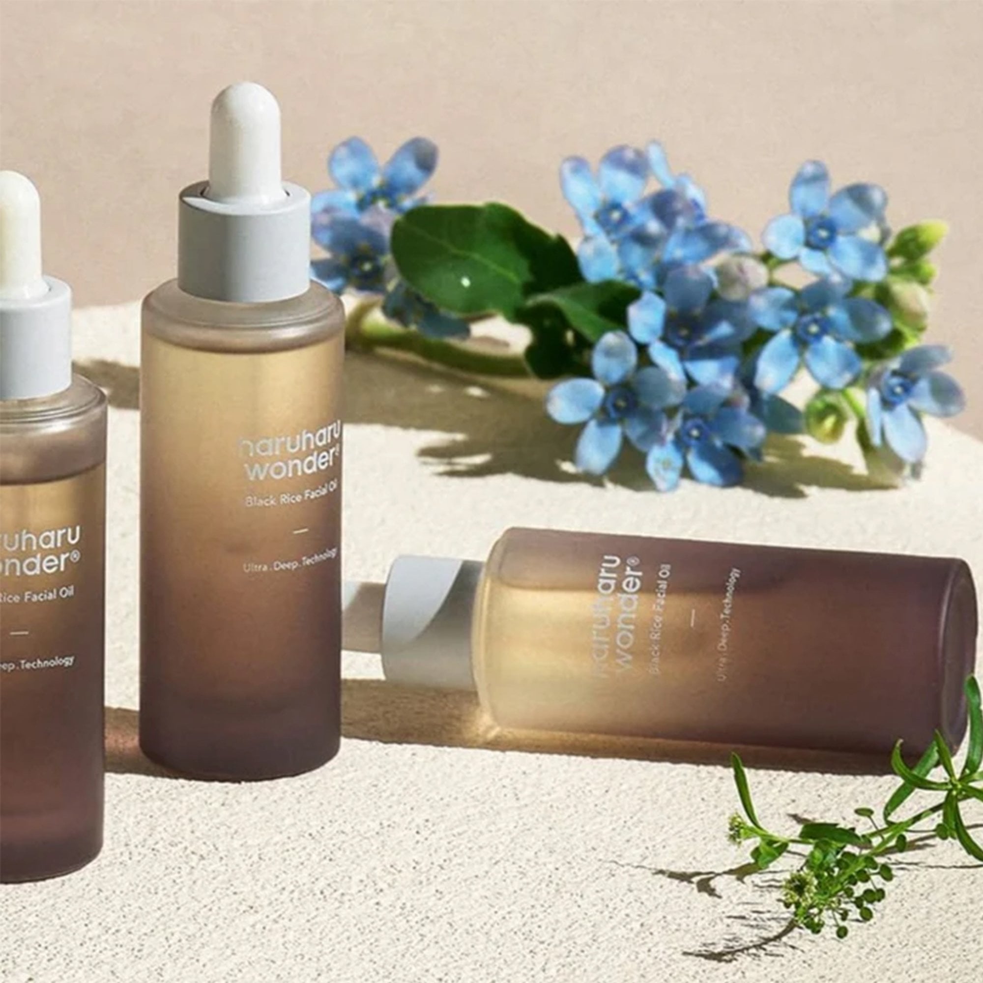 Haru Haru Wonder Black Rice Facial Oil 30ml Pipette Bottle
