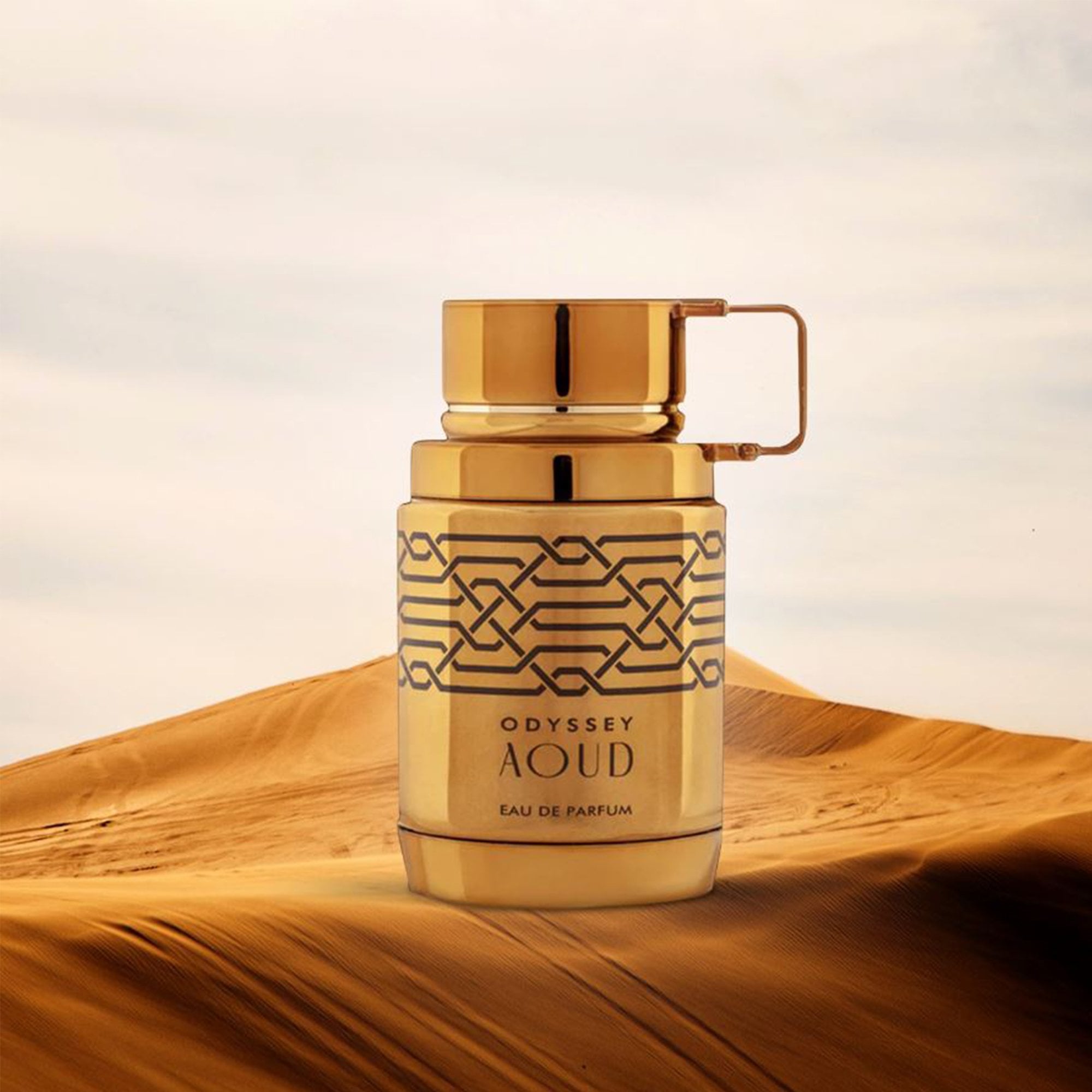 Armaf Odyssey Aoud Eau De Parfum 100ml Spray