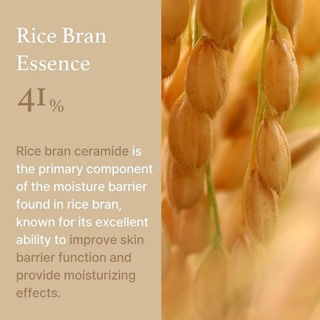 I'm From Rice Cream 50g Jar