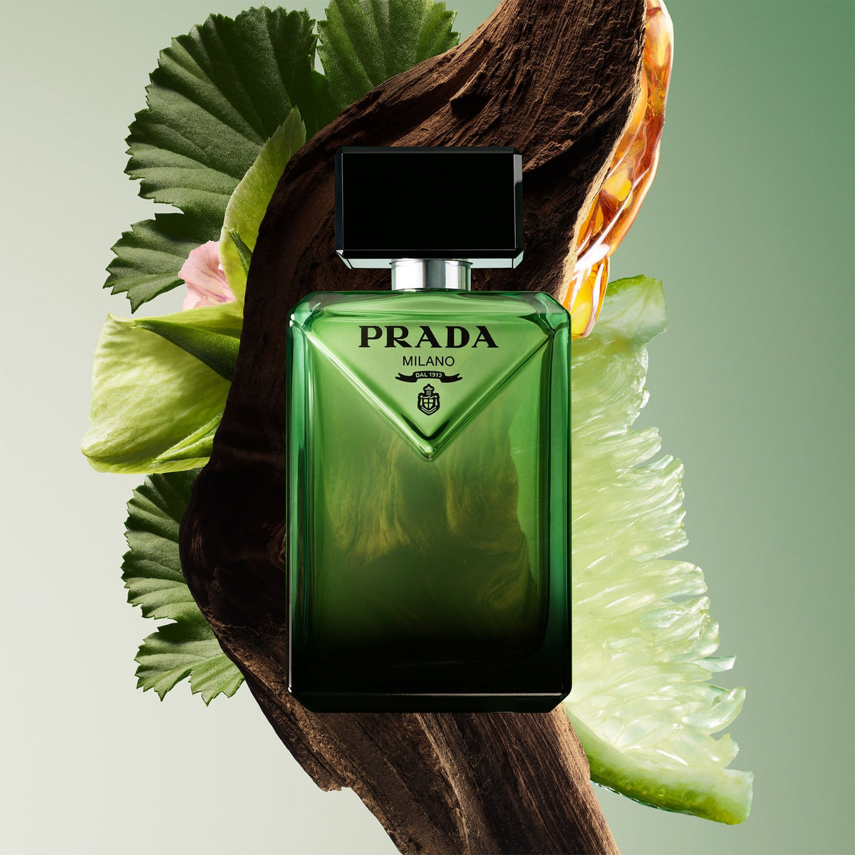 Prada Paradigme Eau De Parfum 100ml Spray – Beauty Base