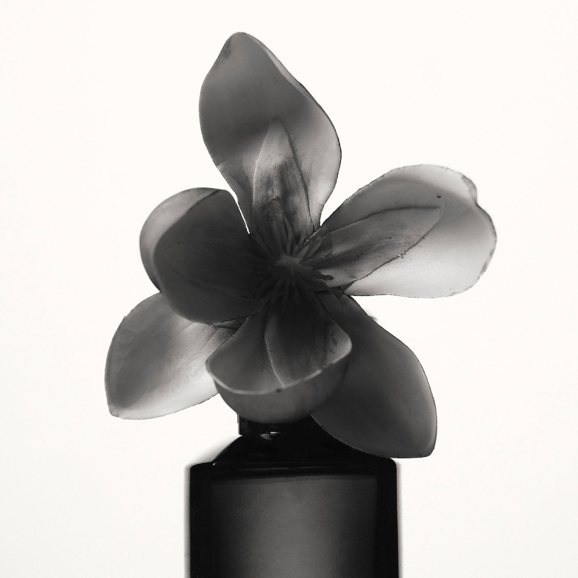 Fenty Eau De Parfum 75ml Spray