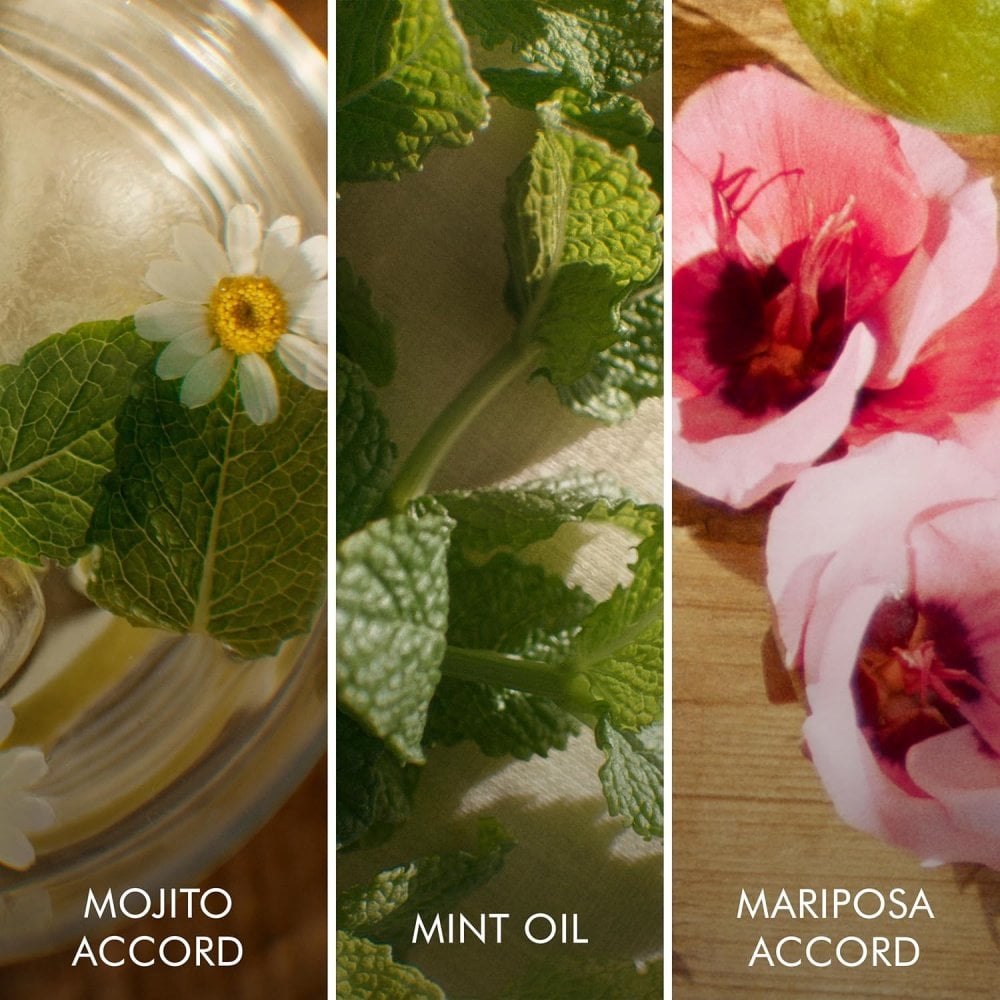 Escada Brisa Cubana Limited Edition Eau De Toilette 50ml Spray