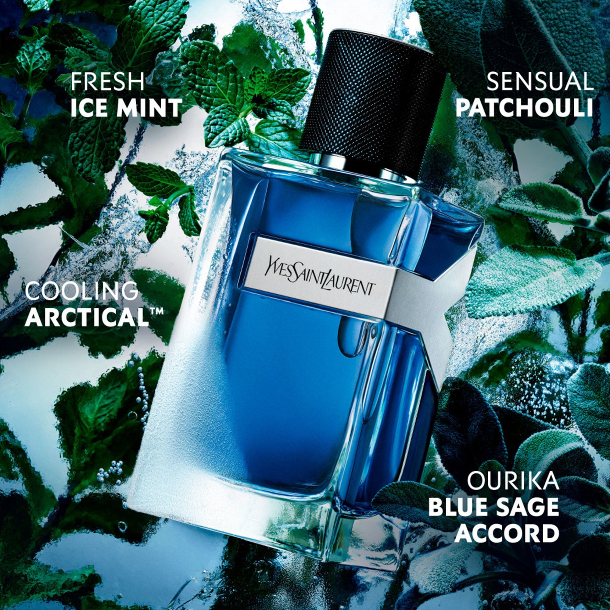 YSL Y Iced Eau De Toilette 100ml Spray