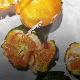  BERGAMOT