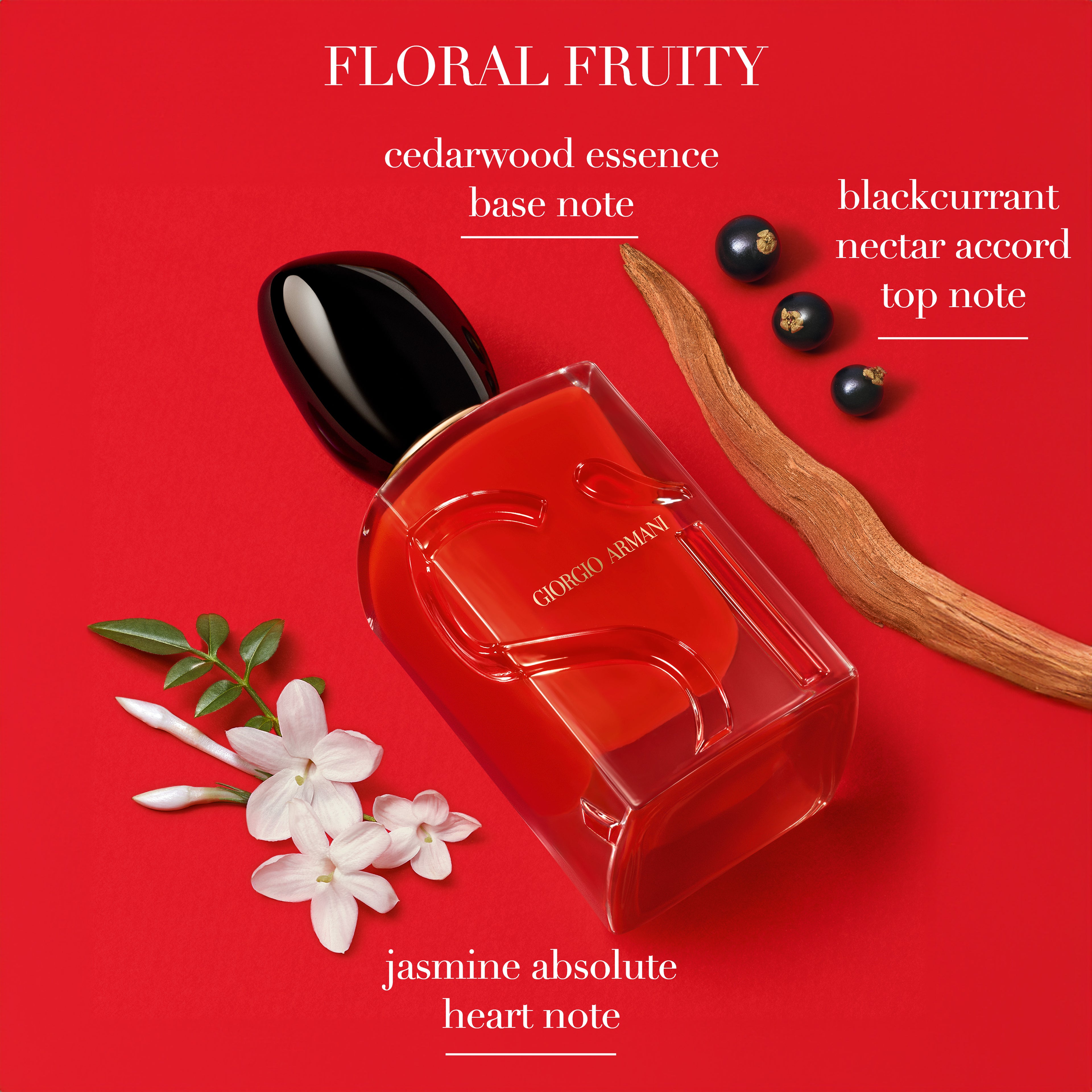 Giorgio Armani Si Passione Eau De Parfum 100ml Spray