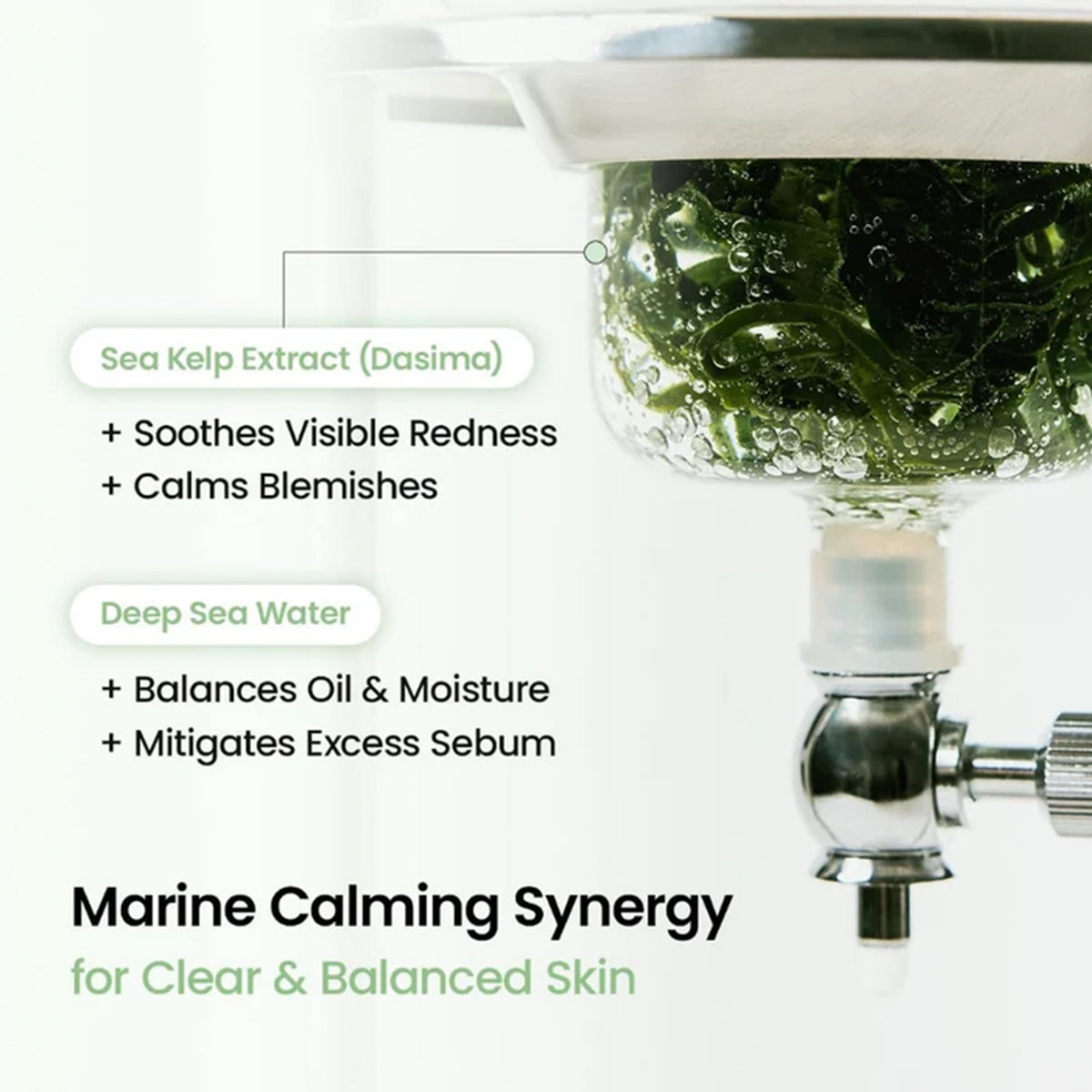 Biodance Refreshing Sea Kelp Sheet Face Mask 1pc Sachets/Units