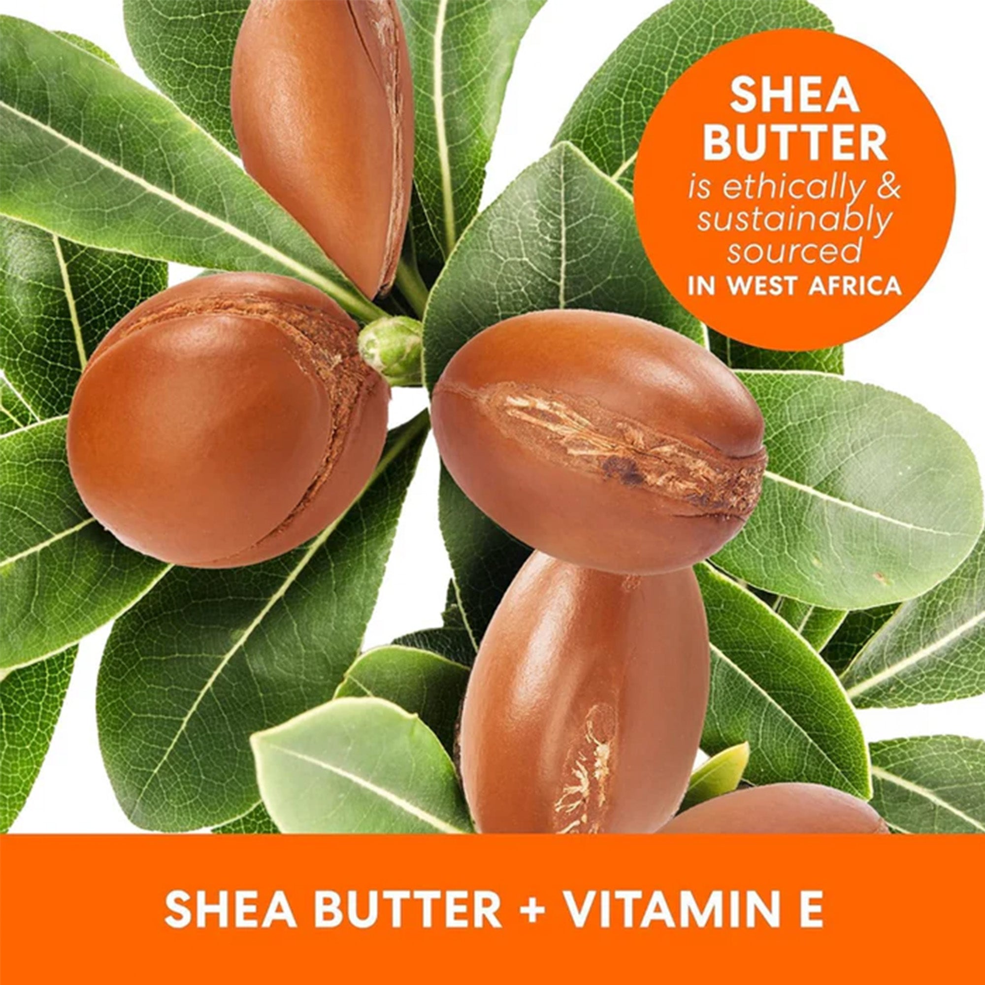 Palmer's Raw Shea Nourish Body Oil 250ml Bottle