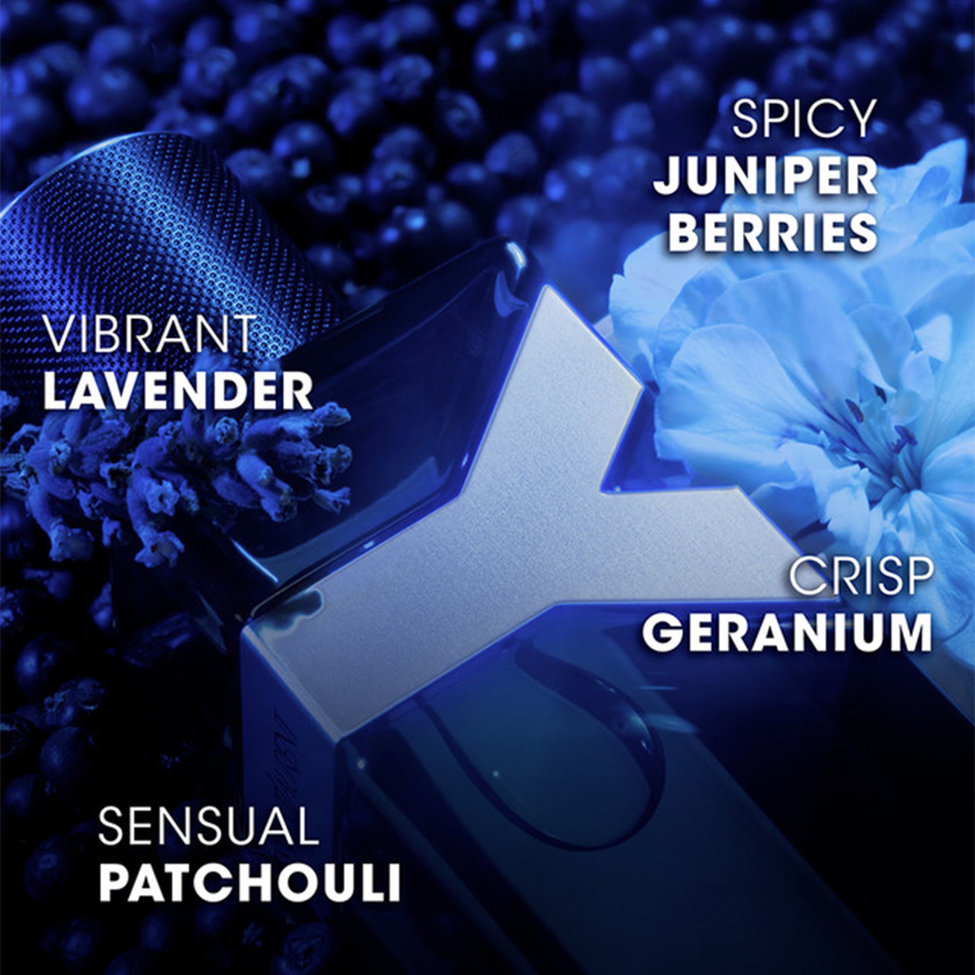 YSL Y for Men Eau De Parfum Intense 60ml Spray