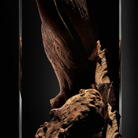 WOOD