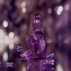 Jimmy Choo I Want Choo Midnight Eau De Parfum 60ml Spray