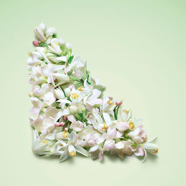 Jasmine