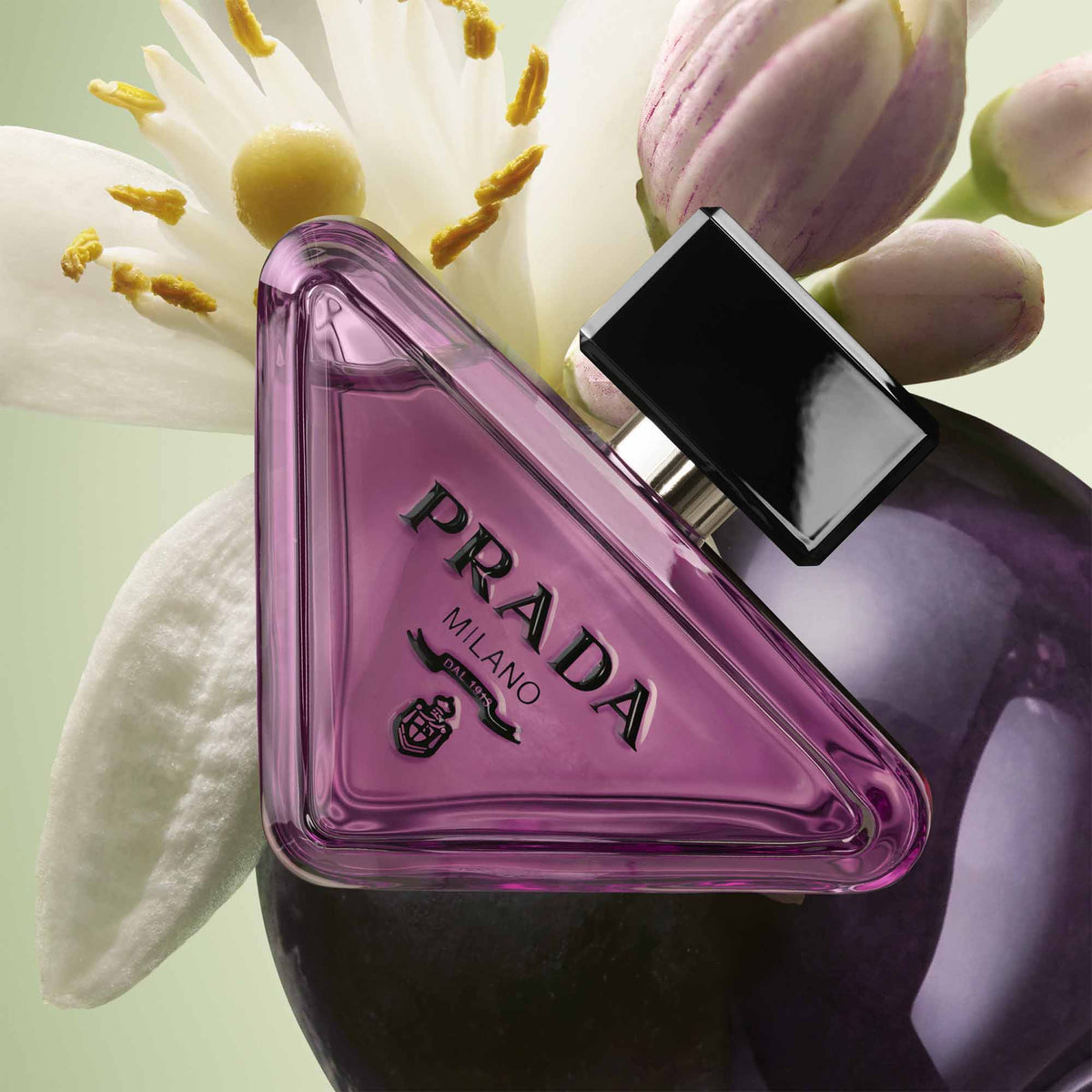 Prada Paradoxe Purple Eau De Parfum 30ml Spray