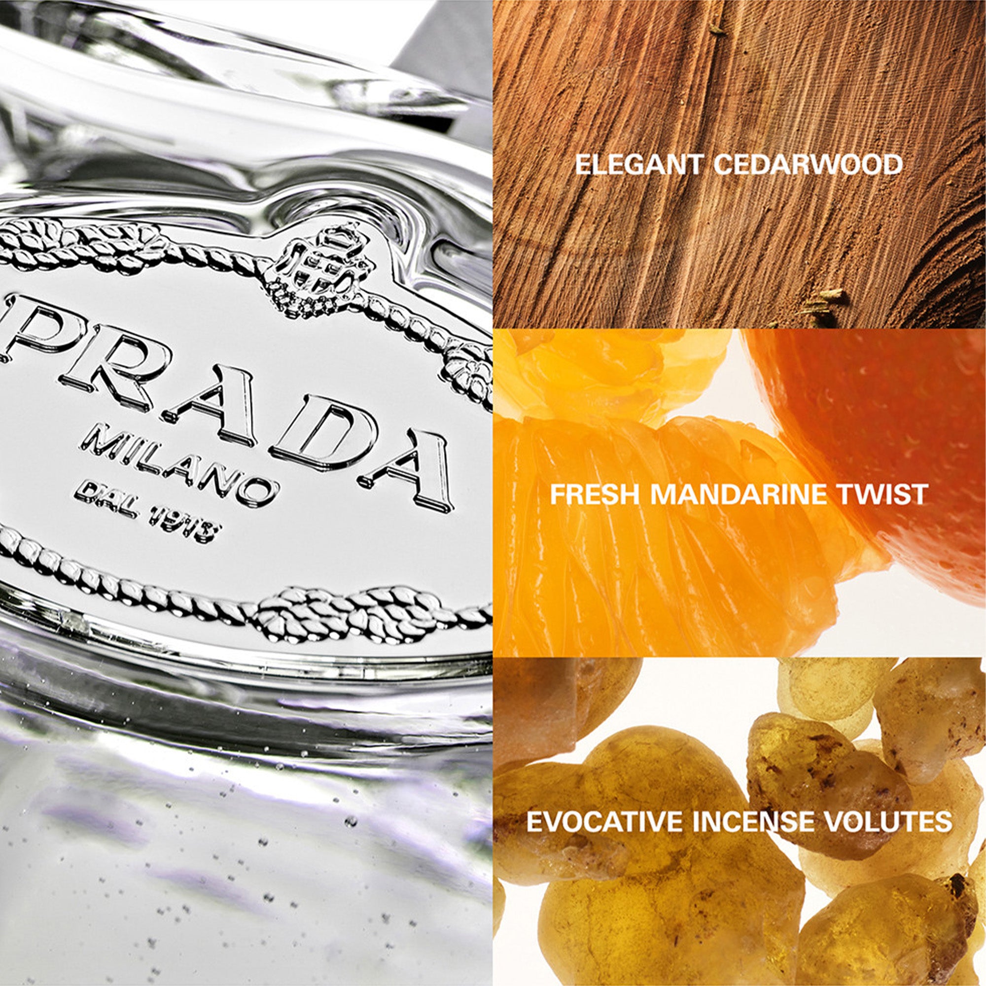 Prada Les Infusions de Cèdre Eau De Parfum 100ml Spray