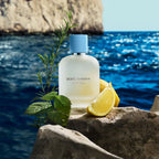 Dolce & Gabbana Light Blue Pour Homme Eau De Toilette 100ml Spray