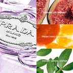 Prada Les Infusions de Figue Eau De Parfum 100ml Spray