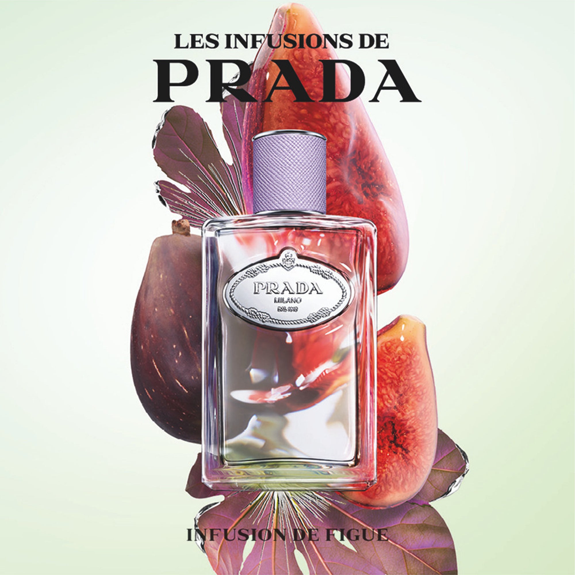 Prada Infusion De Figue Eau De Parfum 100ml Spray