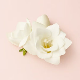 Rose de Mai Absolute & Freesia