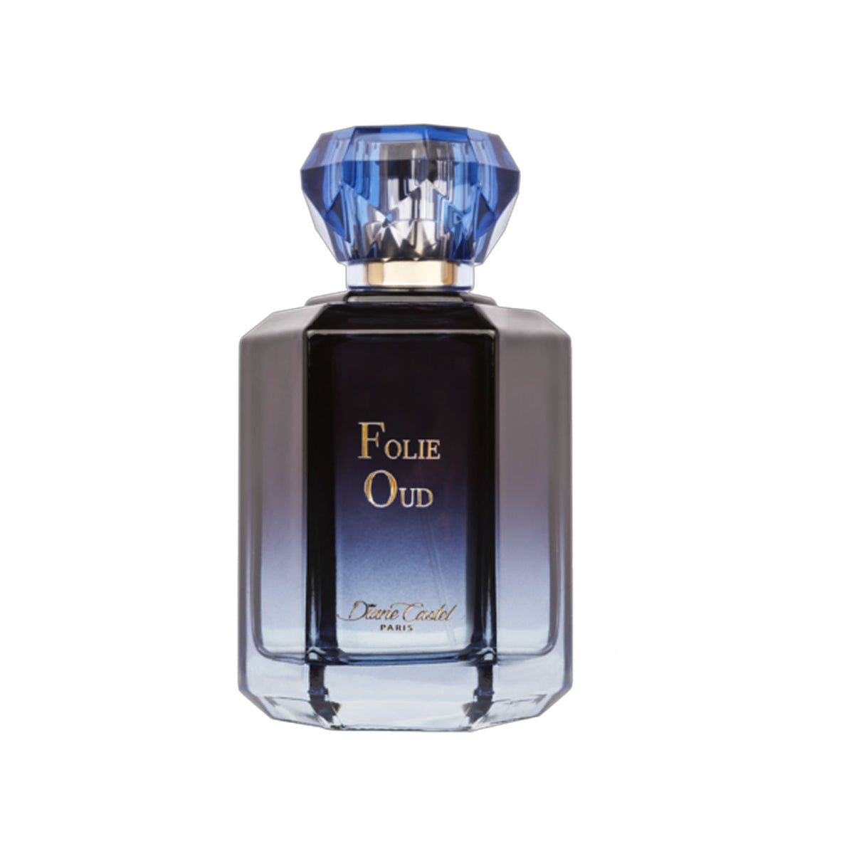 Folie Oud Eau De Parfum 100ml Spray