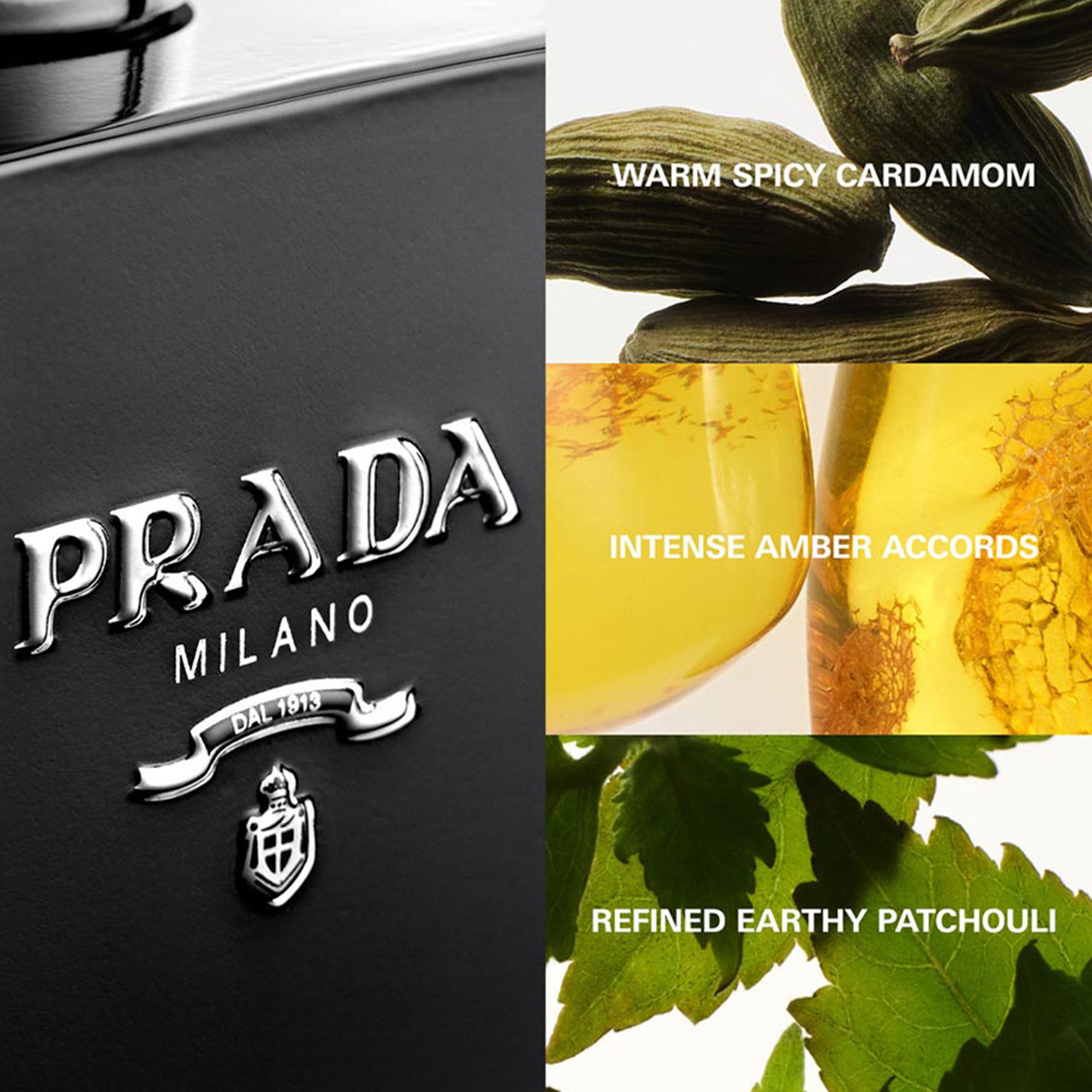 Prada L'Homme Eau De Parfum Intense 100ml Spray