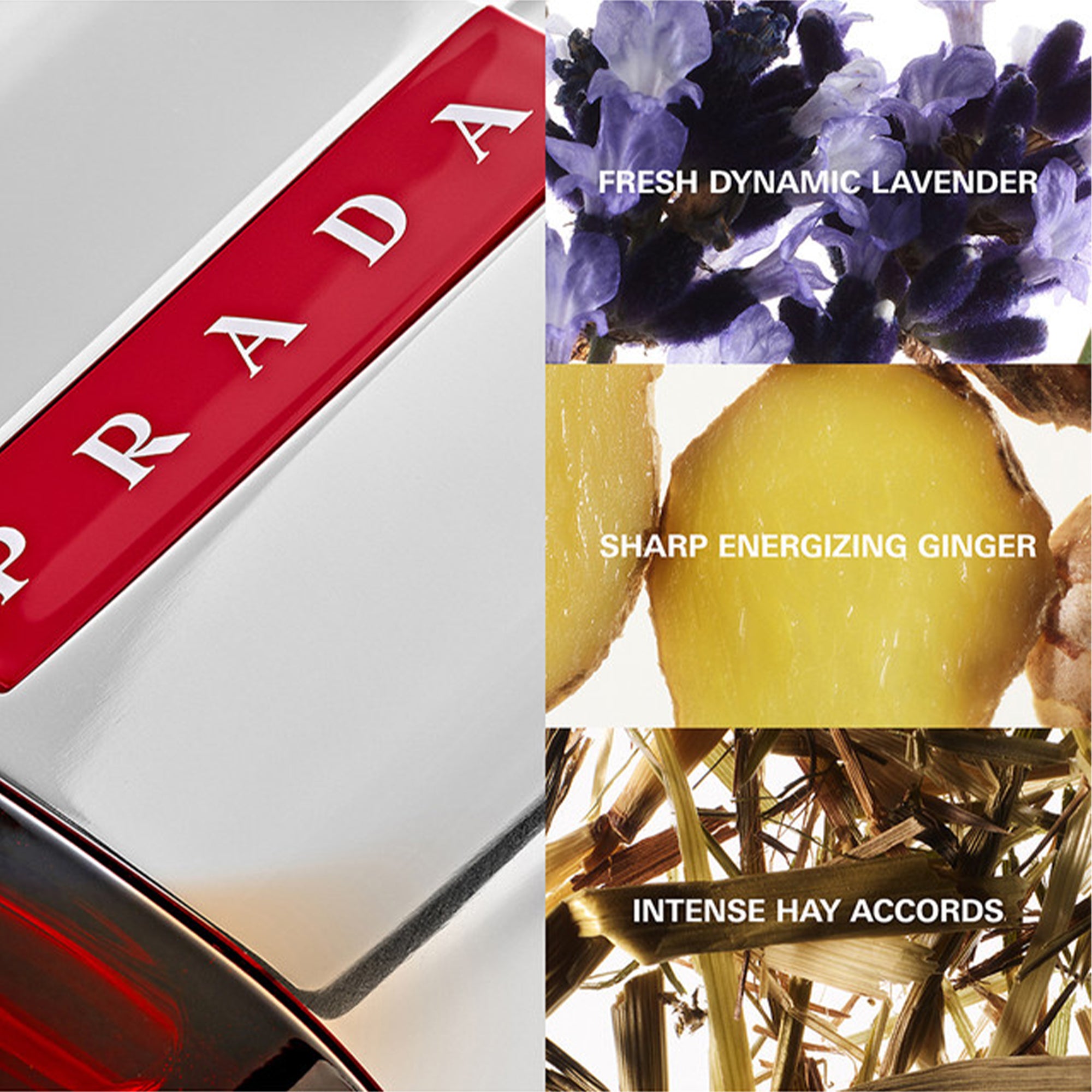 Prada Luna Rossa Sport Eau De Toilette 100ml Spray