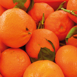 MANDARIN