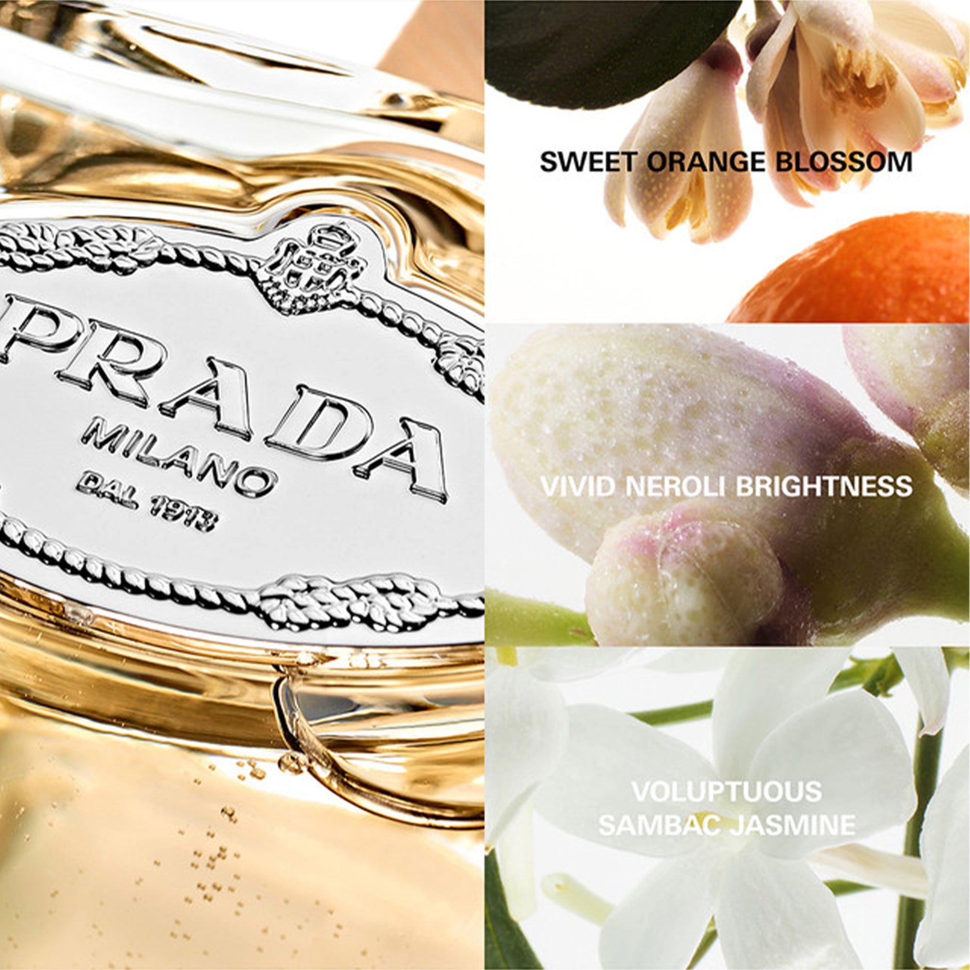 Prada Les Infusions de Fleur d'Oranger Eau De Parfum 100ml Spray