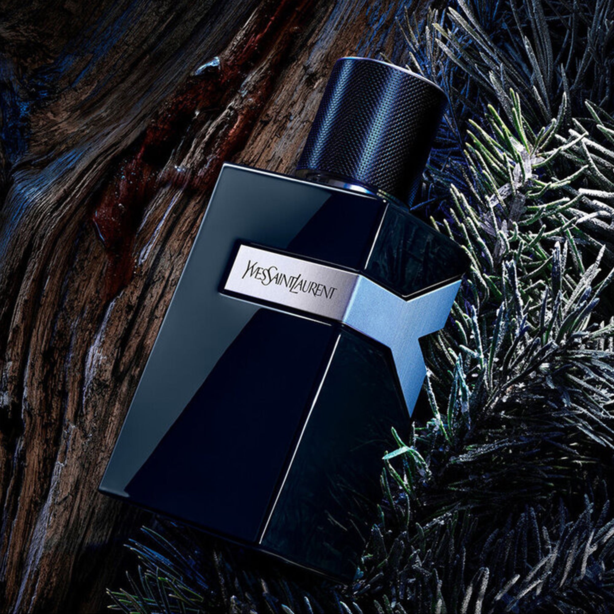 YSL Y for Men Le Parfum 100ml Spray