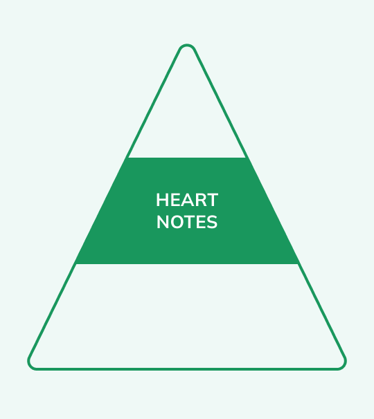 Cerruti test - Heart